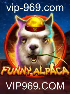 Desbravando o Mundo de FunnyAlpaca: Um Guia Completo